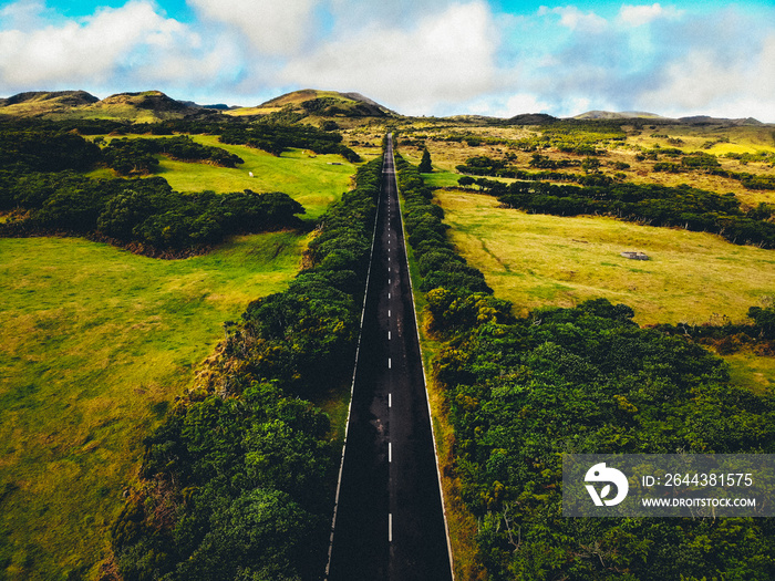 Azores, Ilha das Flores. Long straight nature road in-between the trees. Aerial drone shot.