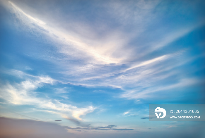 Epic Florida Tropical Skies