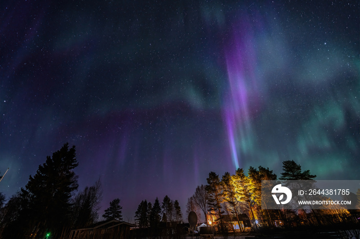 Scenic Aurora Borealis over Northern countryside - bright green magenta and purple light stripes on clear without clouds starry black night sky. Real stars seen in Northern hemisphere, cold winter