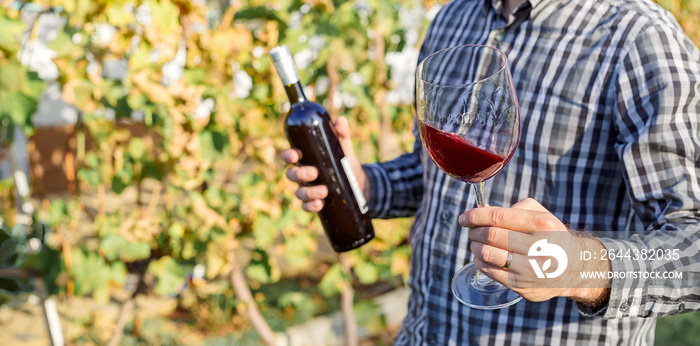 Handsome wine maker holding in his hand a glass of red wine and tasting it, checking wine quality while standing in vineyard. Small business, Homemade wine making concept. Long banner format.