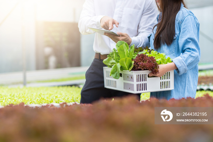 Hydroponic farm with technology, researcher, agricultural expert introduce owner farmer checking good balance of water and oxygen as temperature, lights, pH level, humidity, system of growing plant