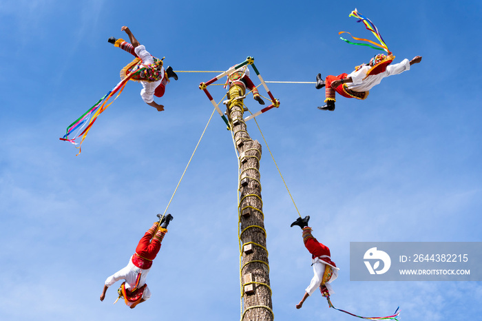 Los voladores de Papantla realizan su espectáculo en el pueblo mágico de Tequila Jalisco.