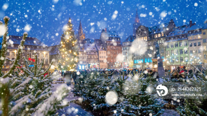 Christmas market under the snow in France, in Strasbourg, Alsace