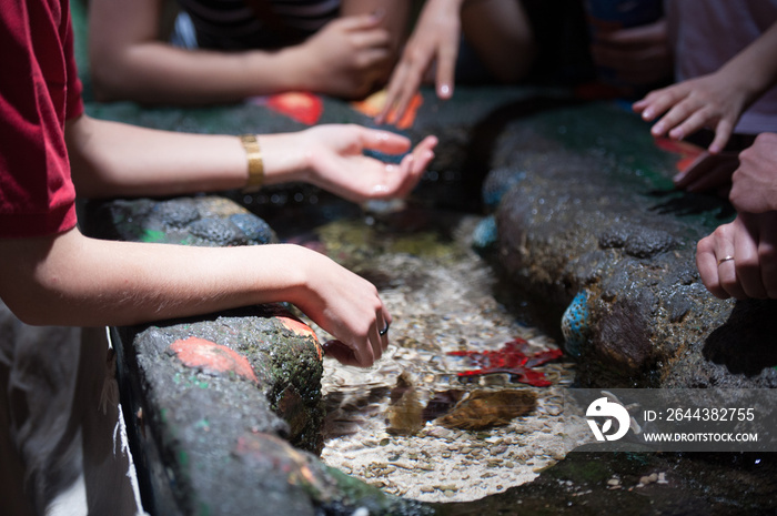 Kids playing with fishes in aquarium