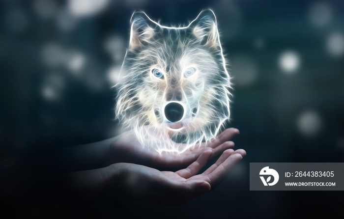 Person holding fractal endangered wolf illustration 3D rendering