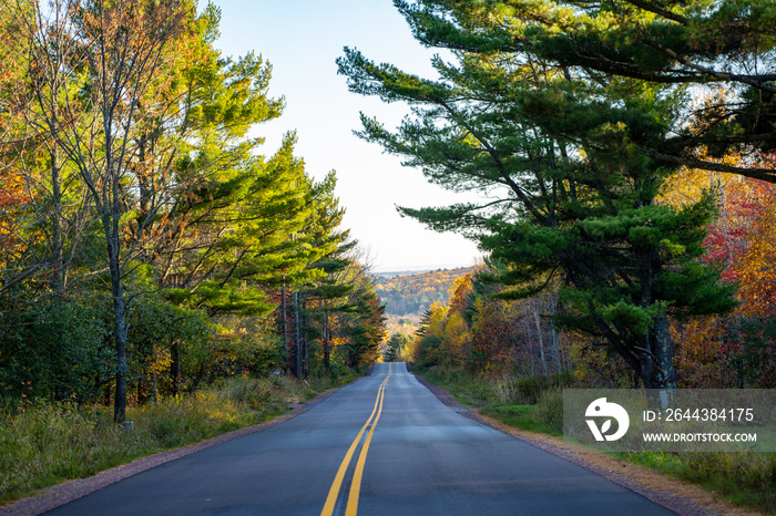 Empty, middle of the road in Bayfield Wisconsin during the fall autumn season. Concept for fall leaf peeping road trips