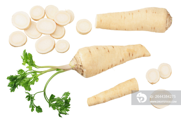 fresh parsley root with slices isolated on white background. top view