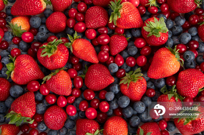 Various fresh forest berries on white background. Organic food concept.