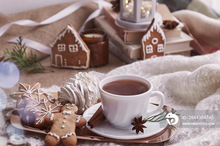 Cozy winter morning at snowy day. Christmas warm home with books, ginger cookies, marshmallow, cup of coffee background