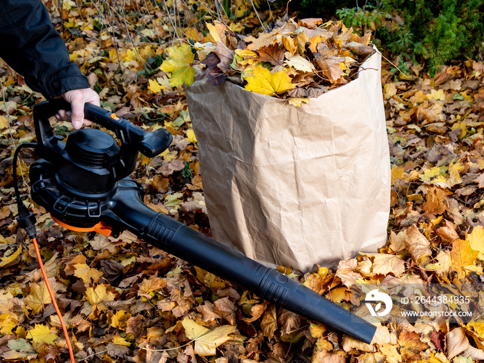 a gardener using an electric leaf blower to clean up a yard