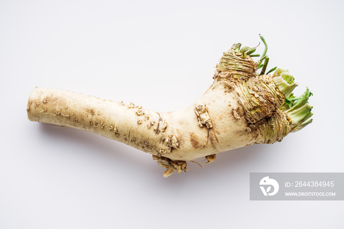 aromatic horseradish root on a white background