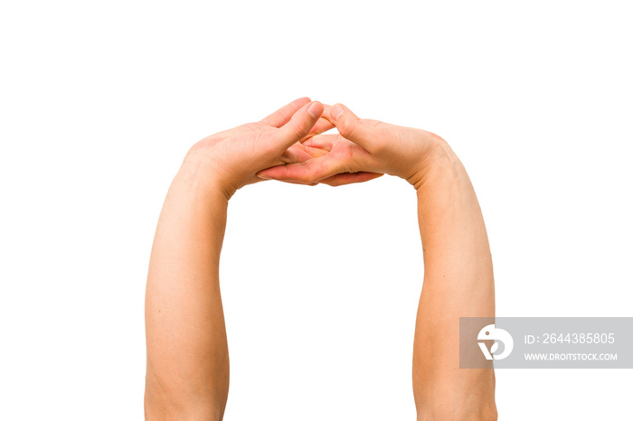 caucasian hands gesturing isolated on a white background