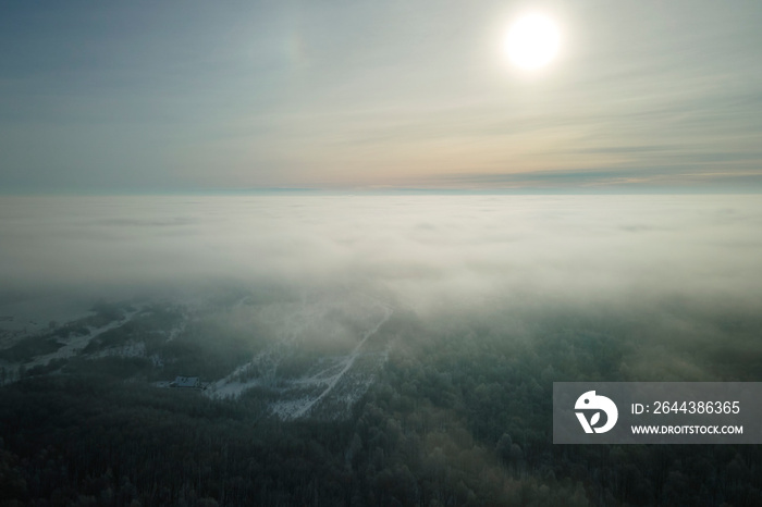 Aerial view of snow covered white forest with frozen trees in cold winter. Dense wild woodland in wintertime