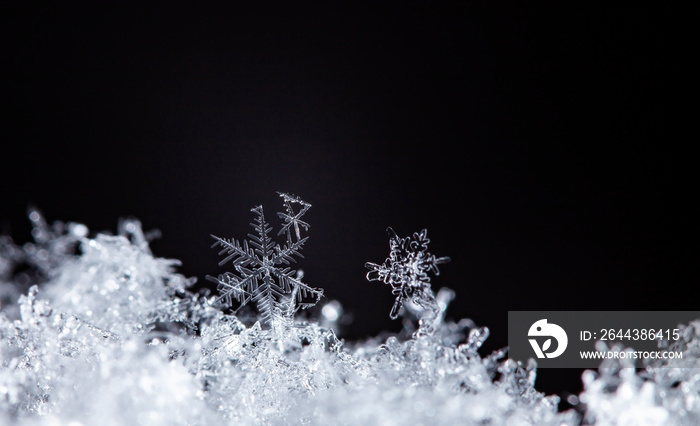 Snowflake On Natural Snowdrift Close Up - Christmas And Winter Background