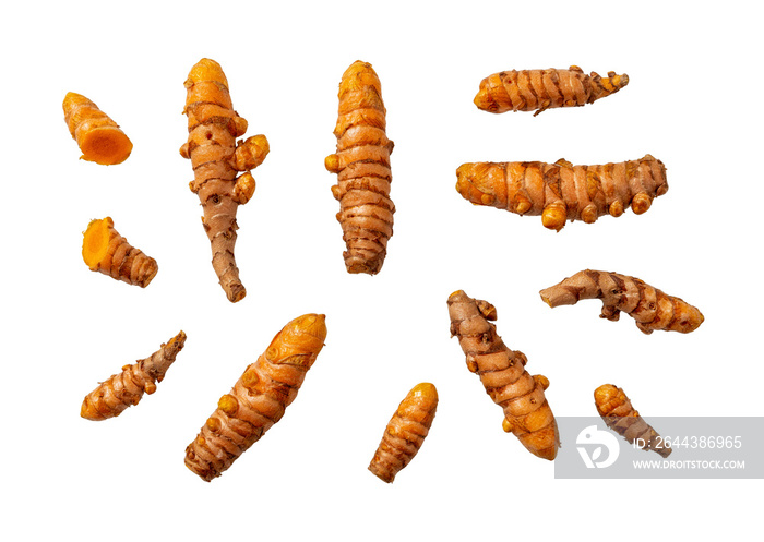 Set of raw curcuma rhizomes cutout macro. Whole organic turmeric roots variety isolated on a white background. Curcuma longa as antioxidant spice for cooking and ayurvedic herbal medicine.