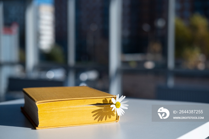 Closed yellow book with a bookmark with a chamomile flower lies on a table in a cafe, against a blurred background of a shop window.