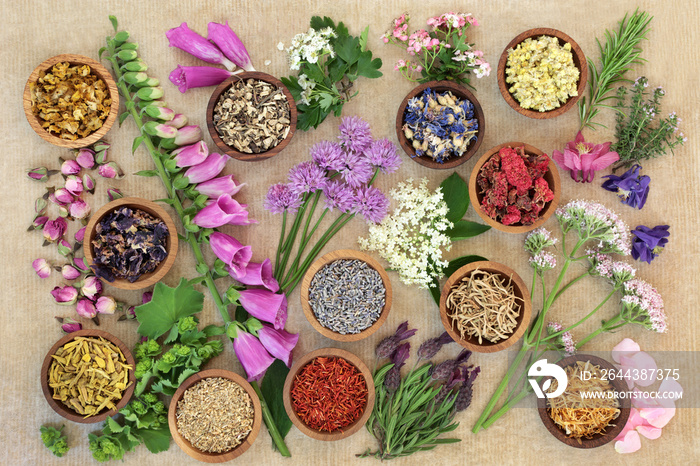 Herb and flower medicinal selection used in alternative herbal medicine on rough brown paper background. Top view.