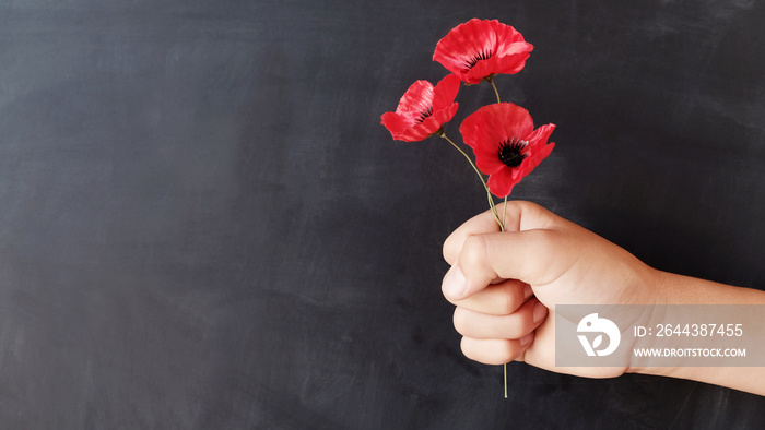 Hand holding red poppy flowers, remembrance day,  Veterans day, Anzac day, lest we forget concept