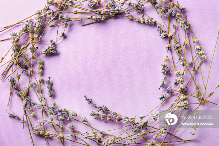 Frame made of beautiful lavender flowers on color background