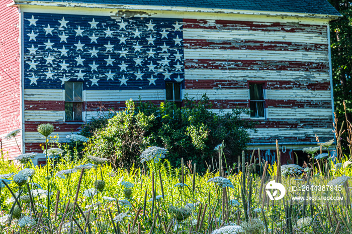 American Flag painted on a barn with flower in the foreground