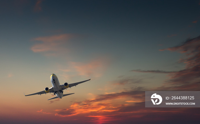 Commercial airliner taking off or landing - with landing gear halfway out