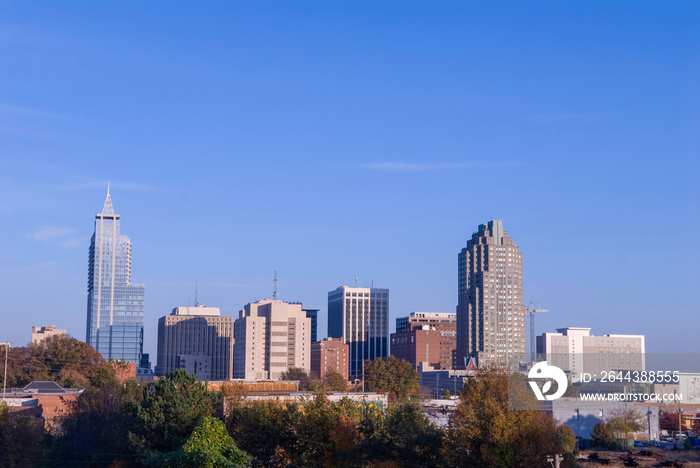 Raliegh North Carolina Downtown Skyline