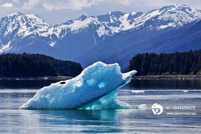 Iceberg floating on Ocean with Mountains