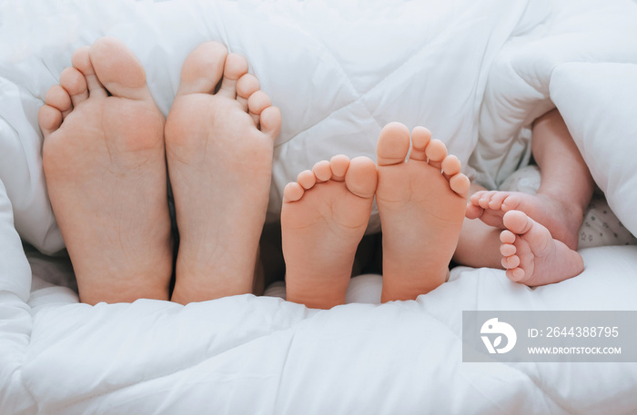 Legs of a family covered with a plaid closeup. Mom, daughter and newborn son are lying, sleeping under a white blanket. Photography, concept.