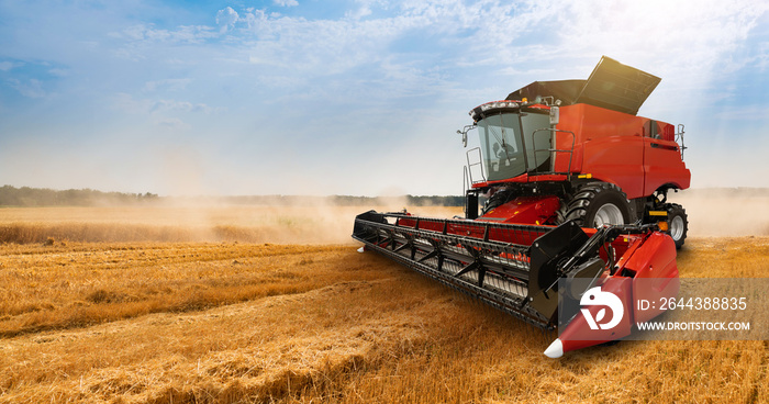 Combine harvester on the wheat field