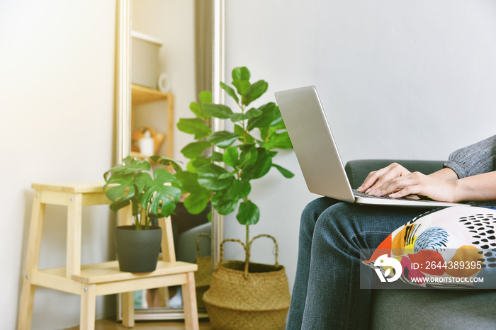 Human and nature, Houseplants growing in living room for indoor air purification and home decorative, Woman working from home surround by green tropical tree.