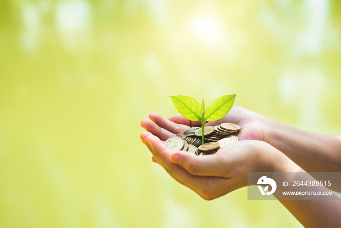 hand of business woman holding golden coin on hands with green plant leaves growth against green blur nature background. money saving, business financial growth, economy budget and investment concept.