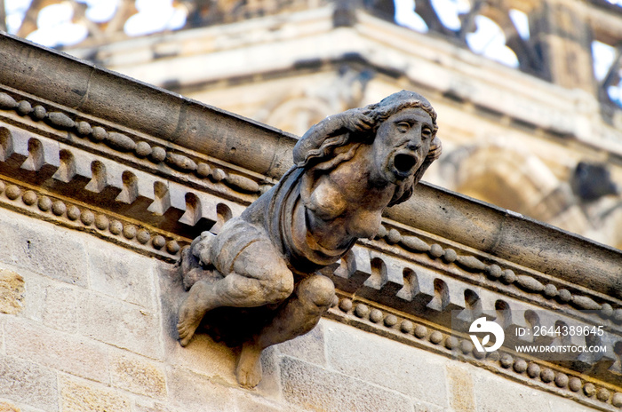 Gargoyle in the Barri Gòtic of Barcelona, Spain