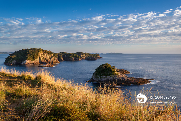 Early morning sunshine along the Coromandel Coastline in New Zealand