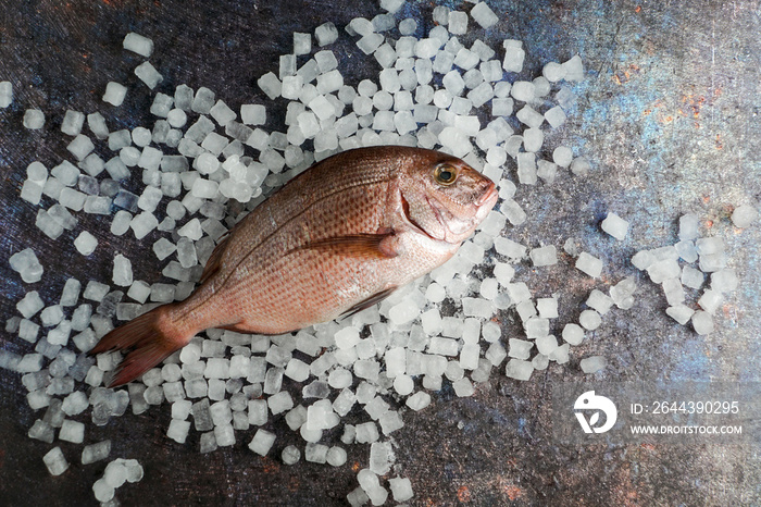 fresh raw pagro or porgy, pargo rosado on the blue background and ice, lemon, spices, top view, healthy fish