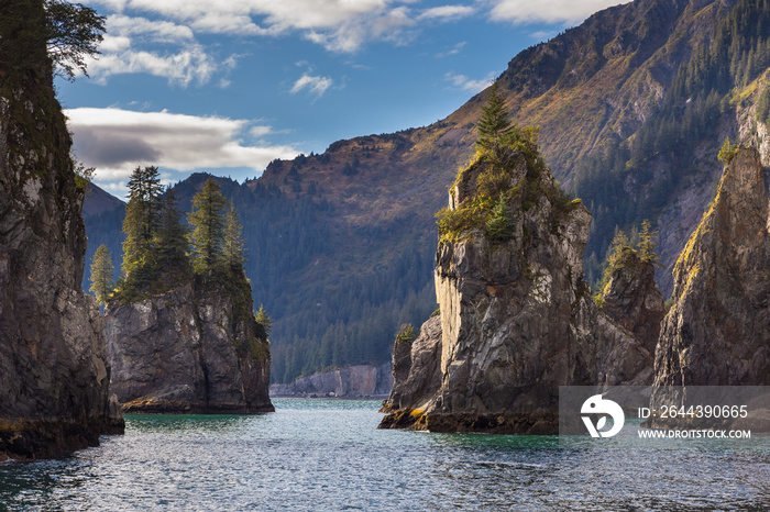 Spire Cove located within Kenai Fjords National Park. Wildlife Cruise around Resurrection Bay, Alaska, USA.