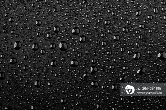 Water droplets on black background