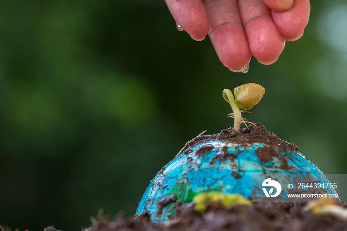 People hands watering young seeding plant on Globe model on raining suny day green background. Save Green world Environment ecology day. Life on earth, new development for business leadership concept