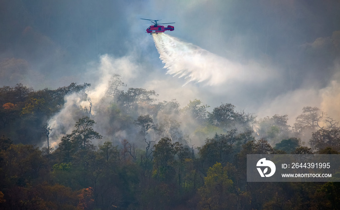 Fire fighting helicopter dropping water on forest fire