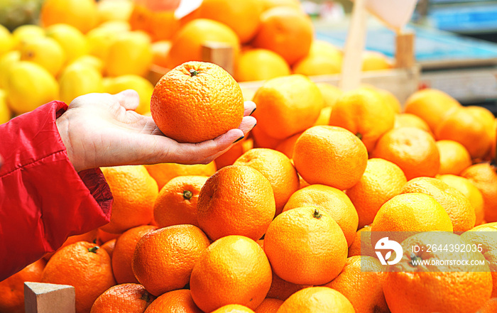 Sales of fresh and organic fruits and vegetables at the green market or farmer’s market. Citizens buyers choose and buy products for healthy food. Female choosing the best orange. Lifestyle, close up.