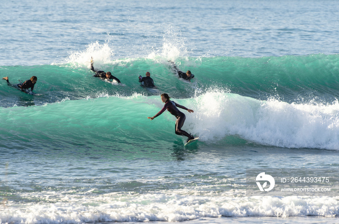 Group of surfers riding the waves of the sea