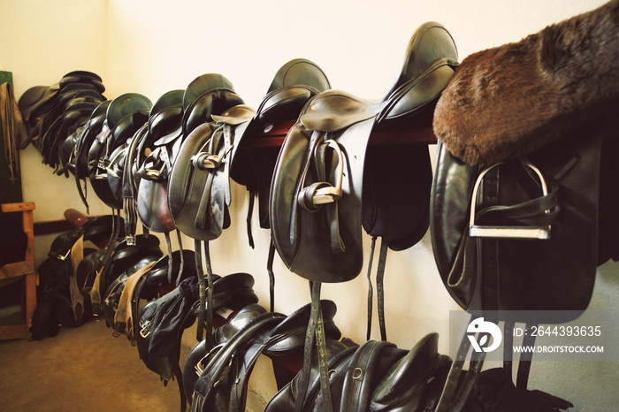 Close-up of black Saddles in tack room