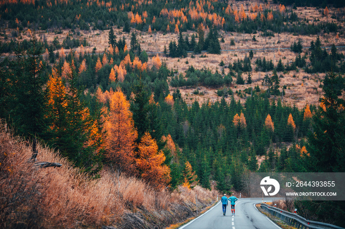 Male couple while running training in autumn nature. Back view