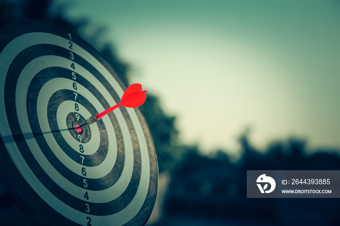 bullseye target or dart board has red dart arrow throw hitting the center of a shooting for business targeting and winning goals business concepts.