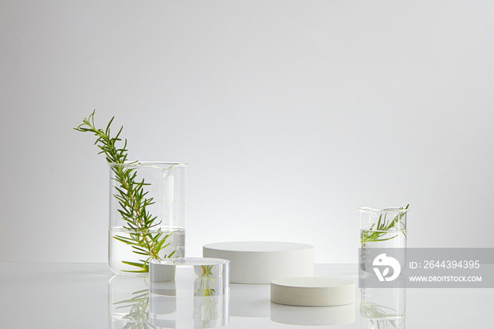 Front view of science working with chemical reaction in chemistry laboratory . liquid in transparent test tube and white blackground with blank space for advertising