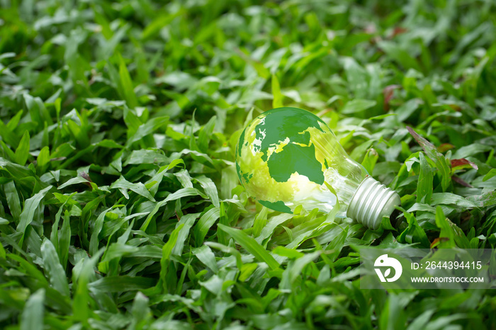 Renewable Energy.Environmental protection, renewable, sustainable energy sources. The green world map is on a light bulb on grass with the sun power energy Renewable energy is important to the world.