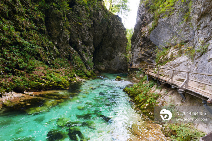 Vintgar Gorge with clear turquoise water stream equipped with wooden observation walkways and bridges close to Bled, Slovenia