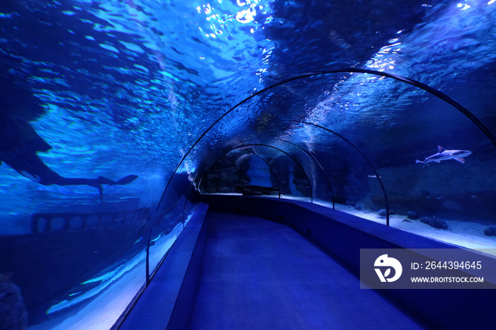 Turkish oceanarium inside