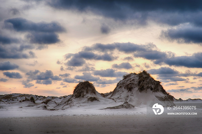 Dunes on the North Frisian Island Amrum in Germany