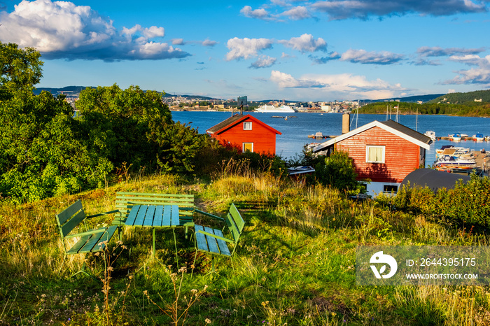 Panoramic view of Nakholmen island on Oslofjord harbor with summer cabin houses at shoreline in early autumn near Oslo, Norway