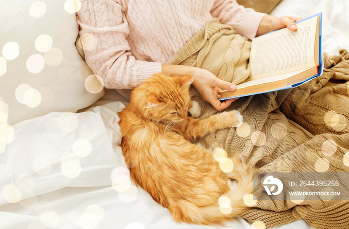 pets, hygge and people concept - red tabby cat and female owner reading book in bed at home